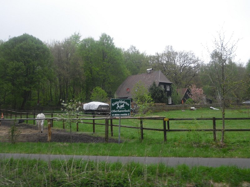 Buchholz 2010 091